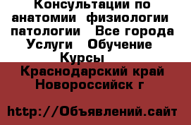 Консультации по анатомии, физиологии, патологии - Все города Услуги » Обучение. Курсы   . Краснодарский край,Новороссийск г.